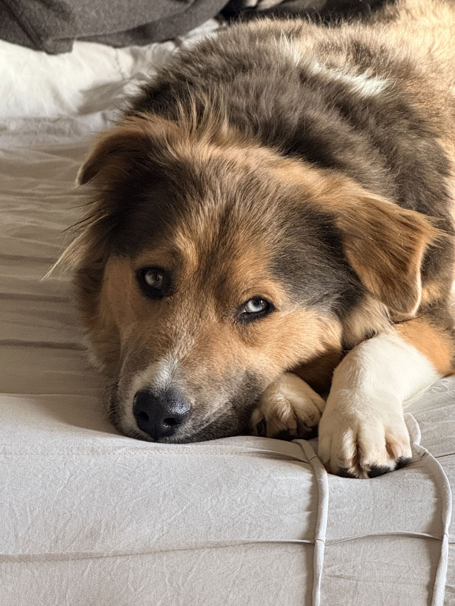 Trinity Santos - Photo 5