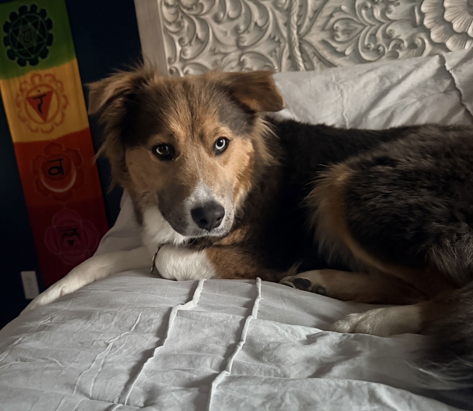 Trinity Santos - Photo 6