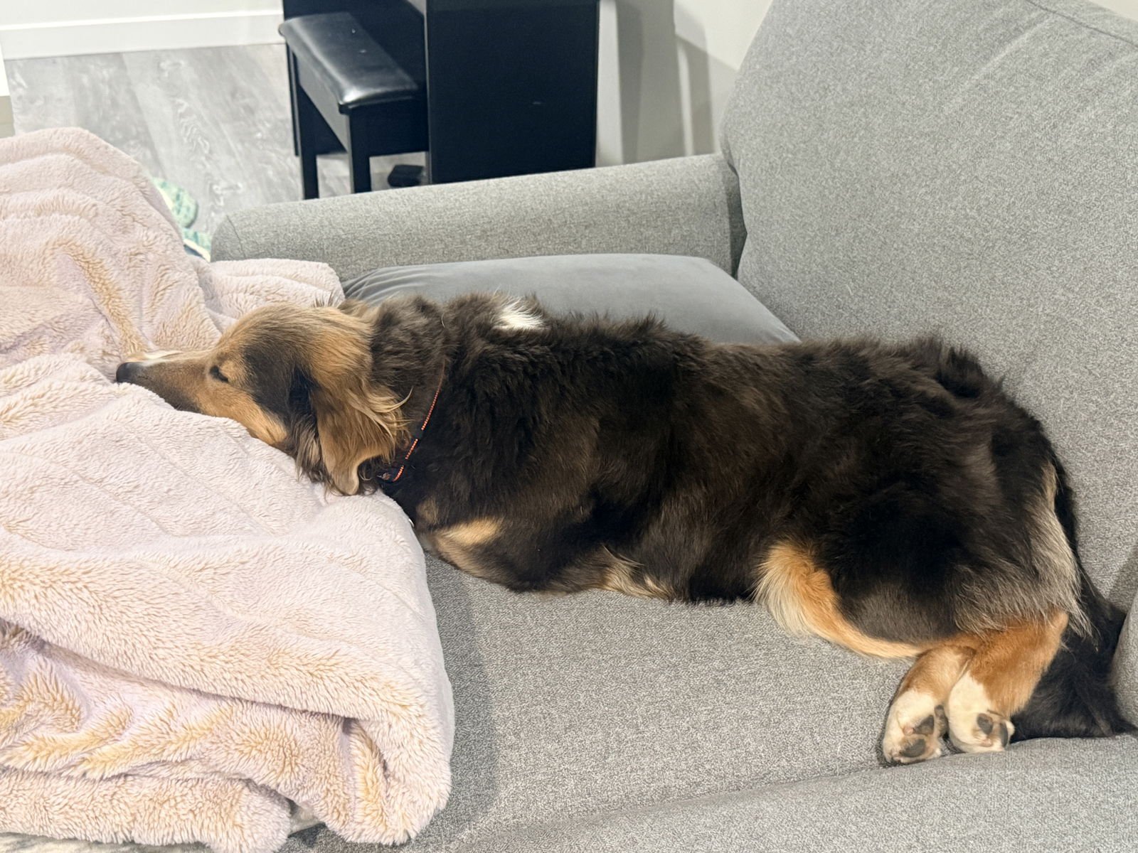 Trinity Santos - Photo 7