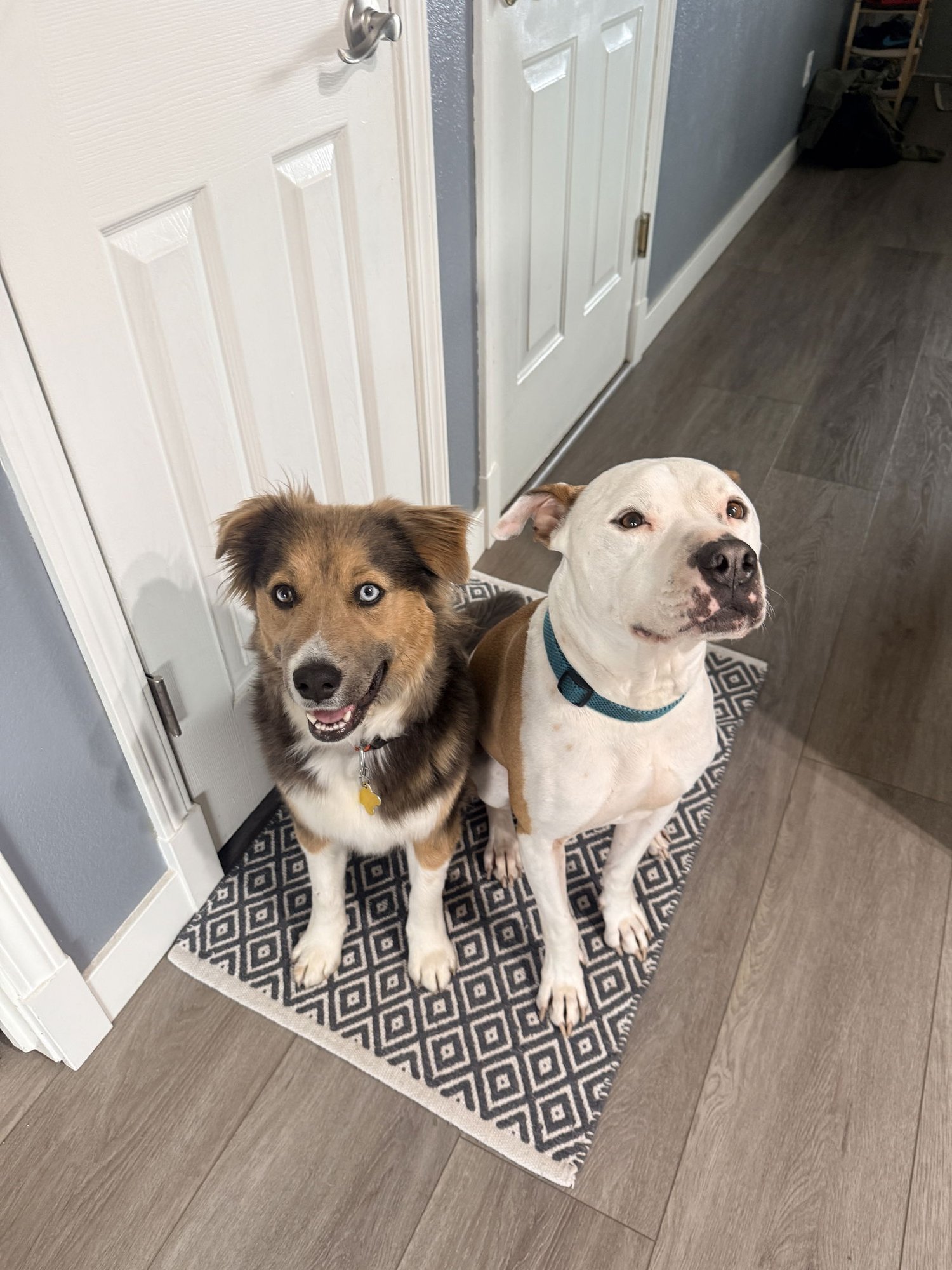 Trinity Santos - Photo 8