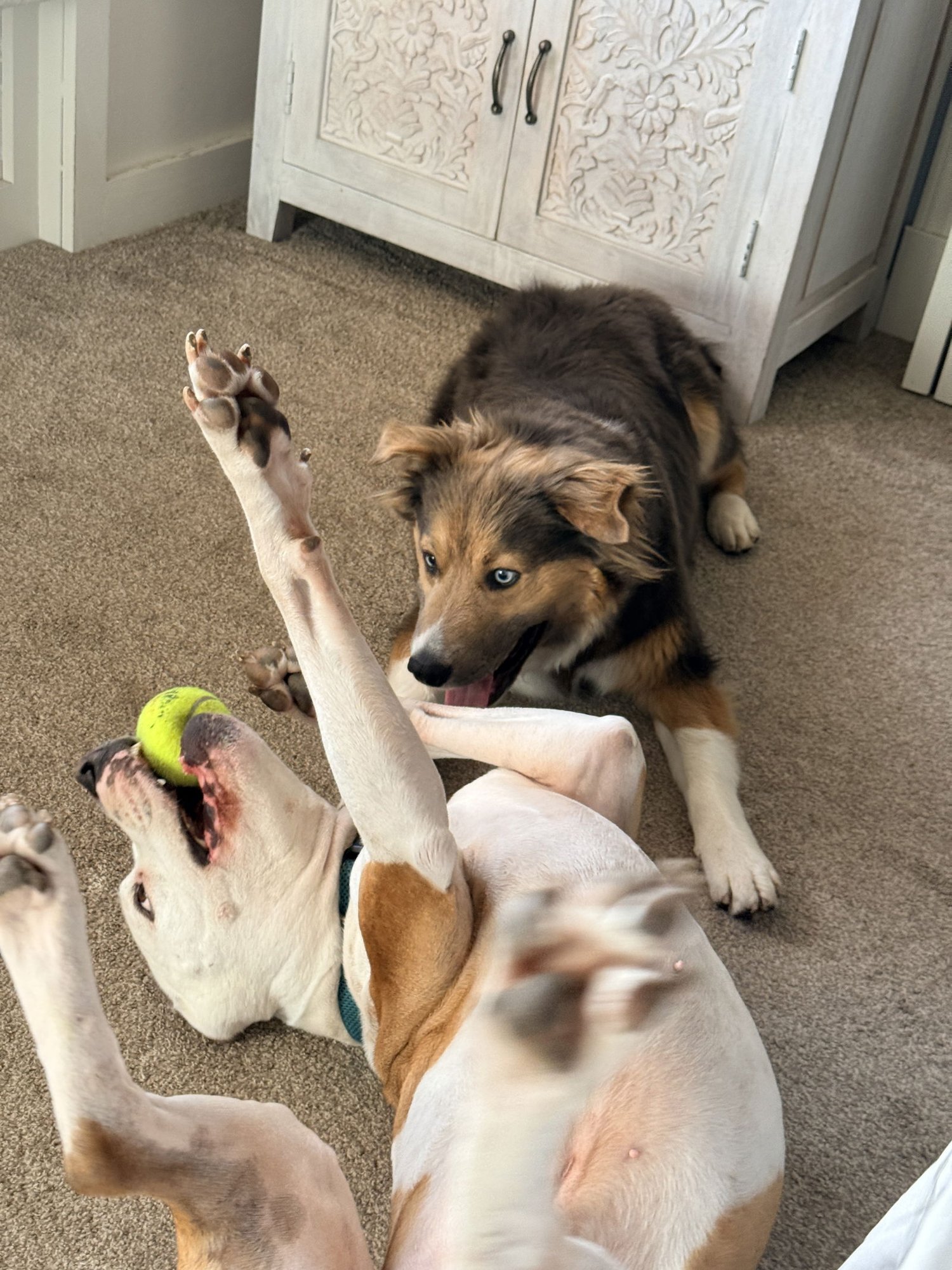 Trinity Santos - Photo 9