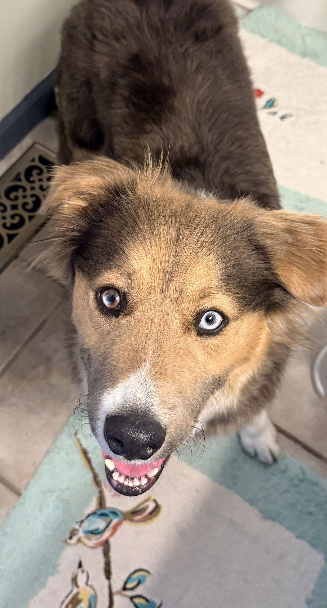 Trinity Santos - Photo 10