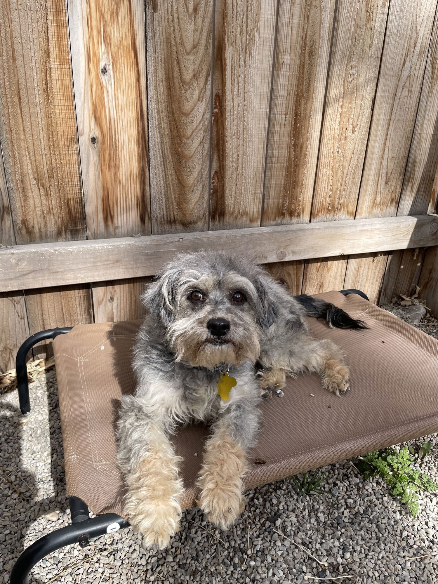 Babs Bunny - Photo 6