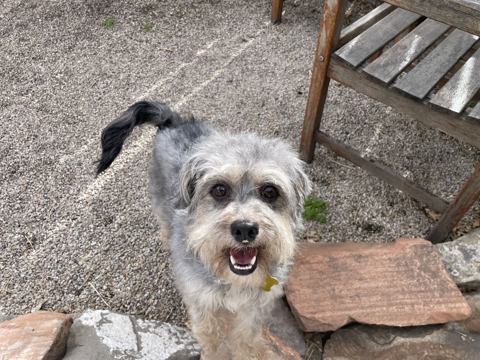 Babs Bunny - Photo 7