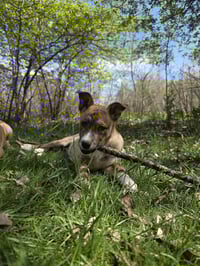 Olive Garden - Photo 5