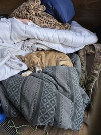 Olive Garden - Photo 6