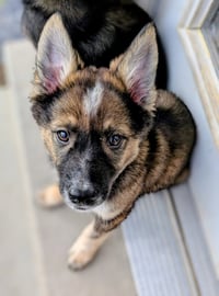 Ayla Cali - Photo 11