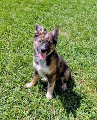 Ayla Cali - Photo 7