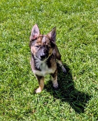 Ayla Cali - Photo 13
