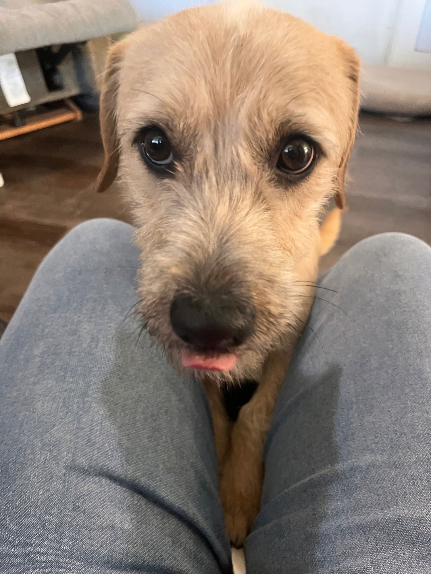 John Denver - Photo 3