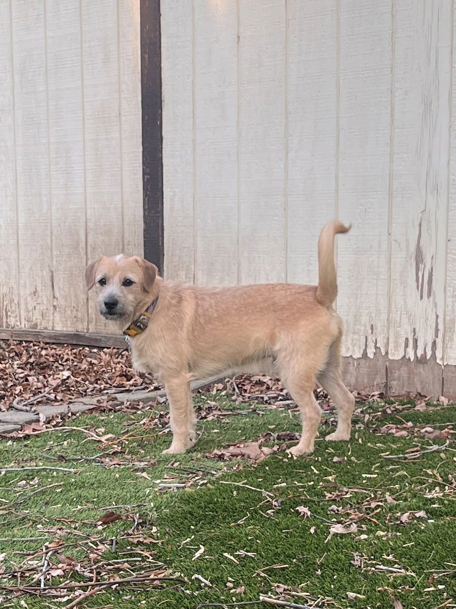 John Denver - Photo 4