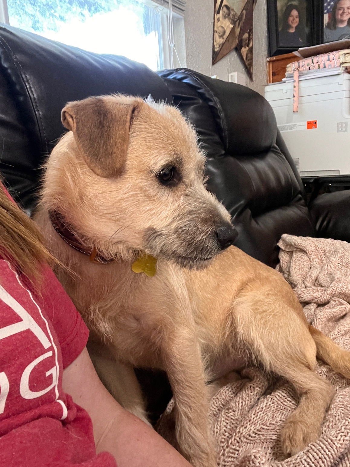 John Denver - Photo 5