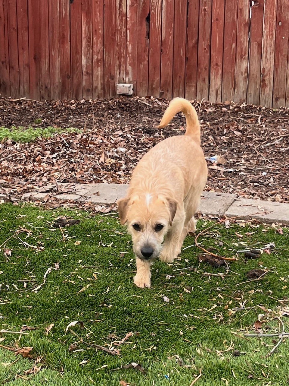 John Denver - Photo 6