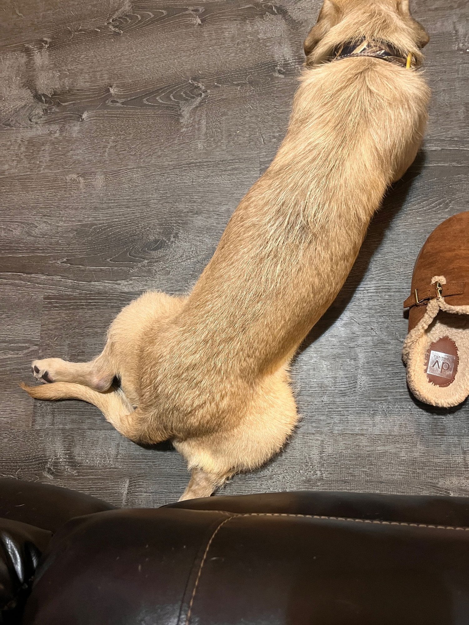 John Denver - Photo 7