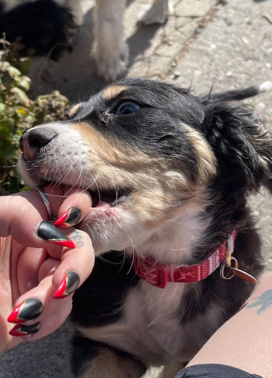 Sage of the West - Photo 3