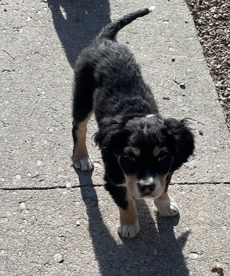 Sage of the West - Photo 5