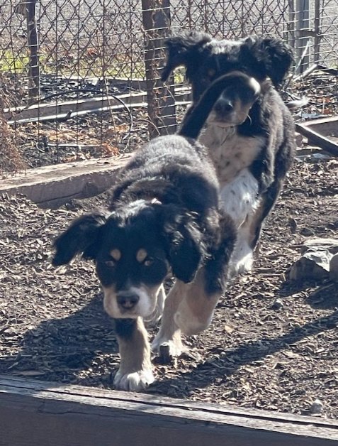 Sage of the West - Photo 9