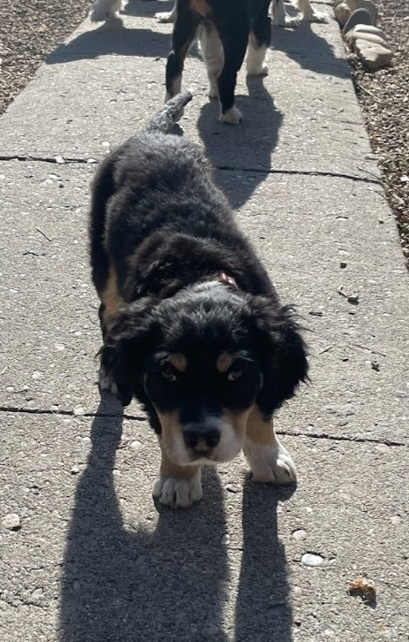 Sage of the West - Photo 10