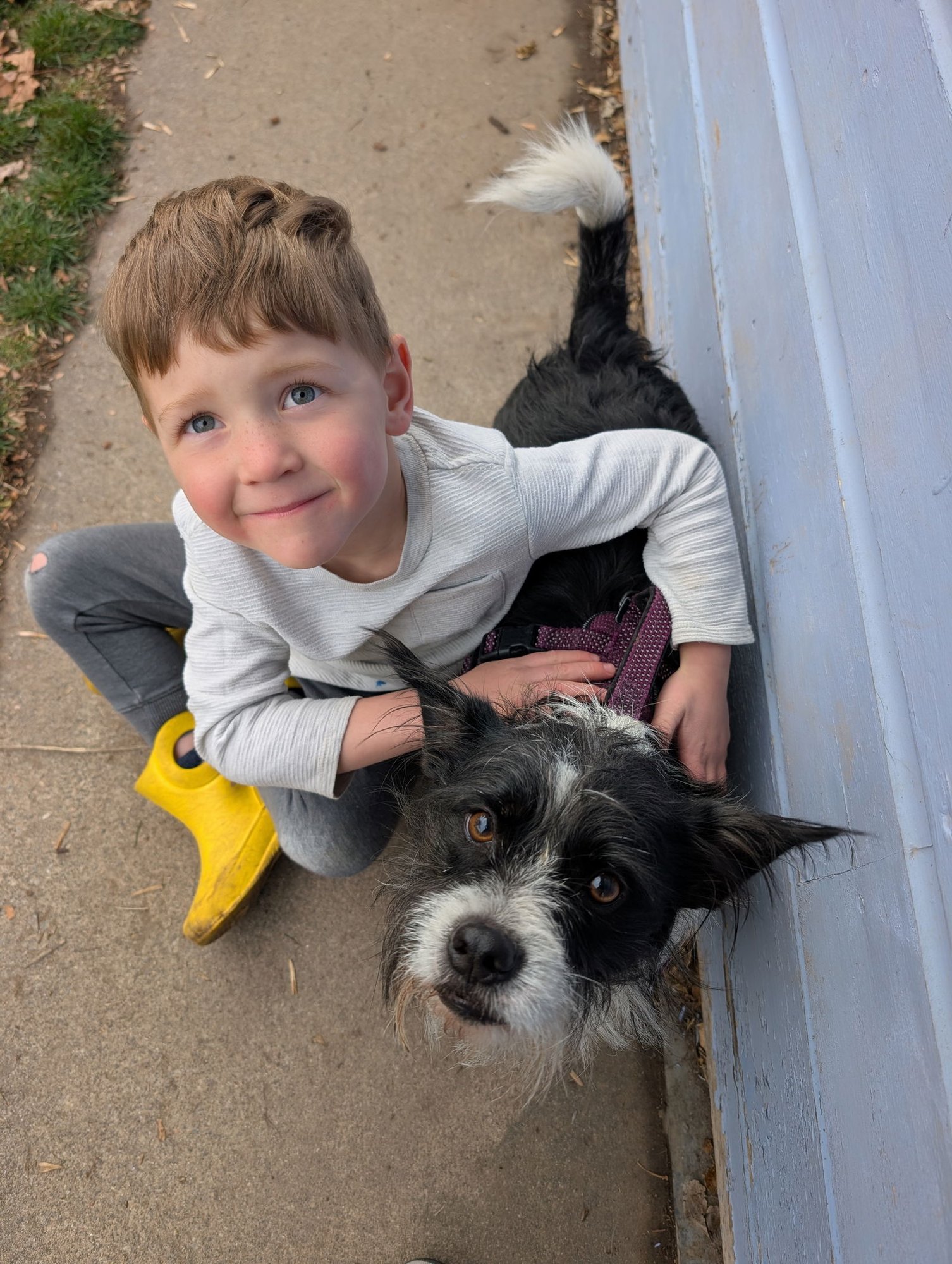 Apple Jacks - Photo 4