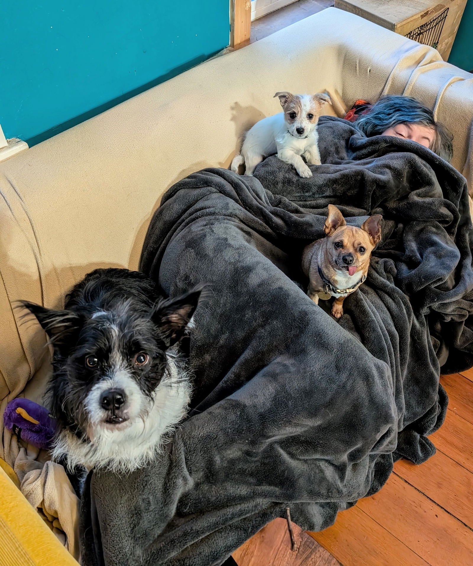 Apple Jacks - Photo 5