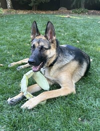 My Tye - Photo 2
