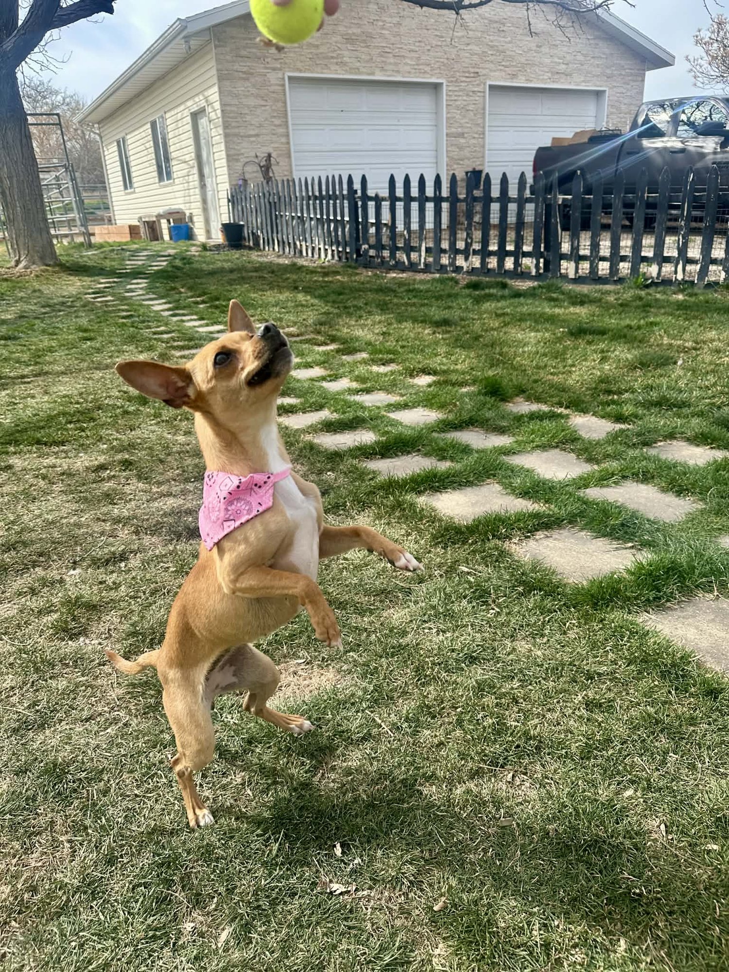 Lil Juliet - Photo 3