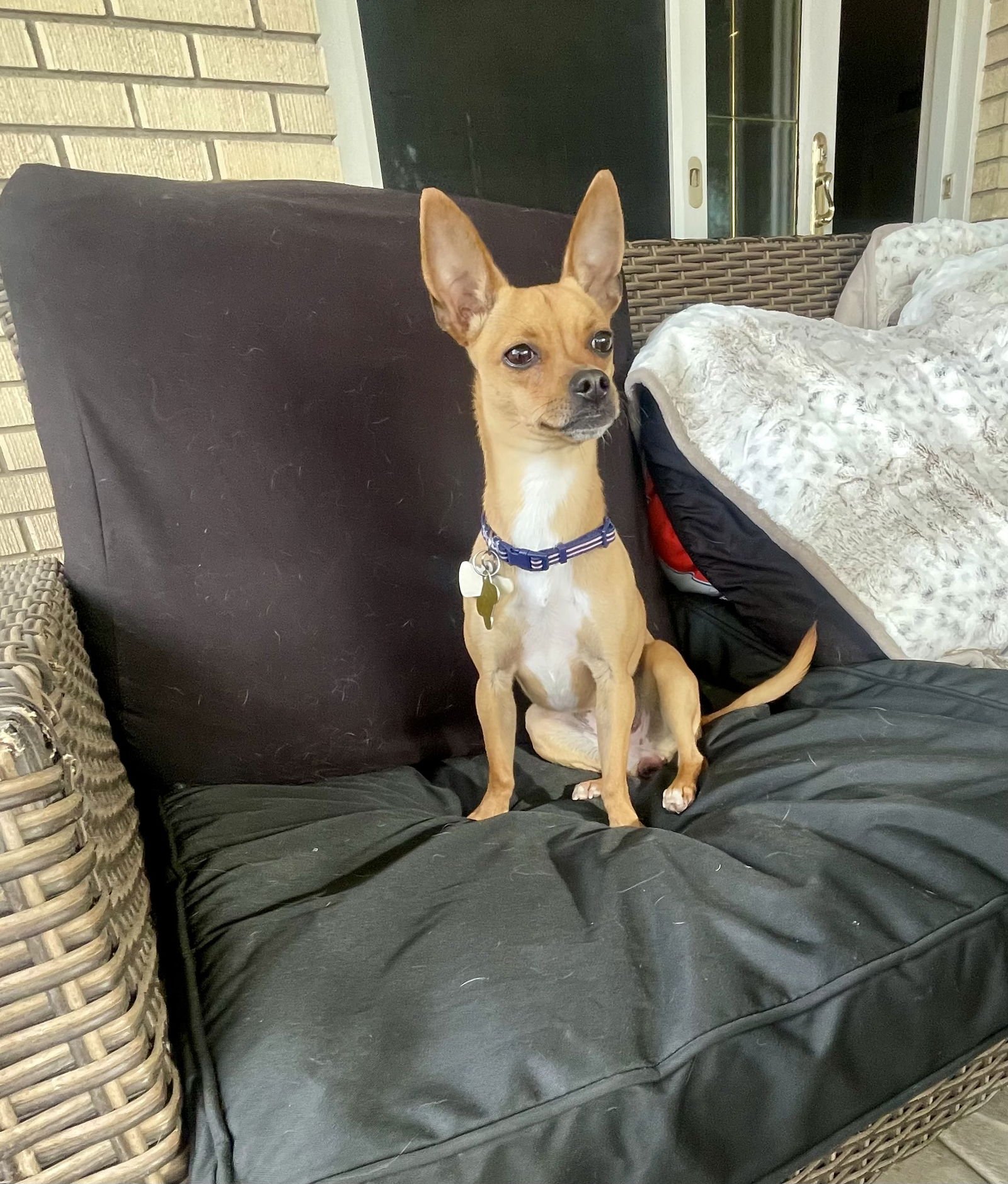 Lil Juliet - Photo 5