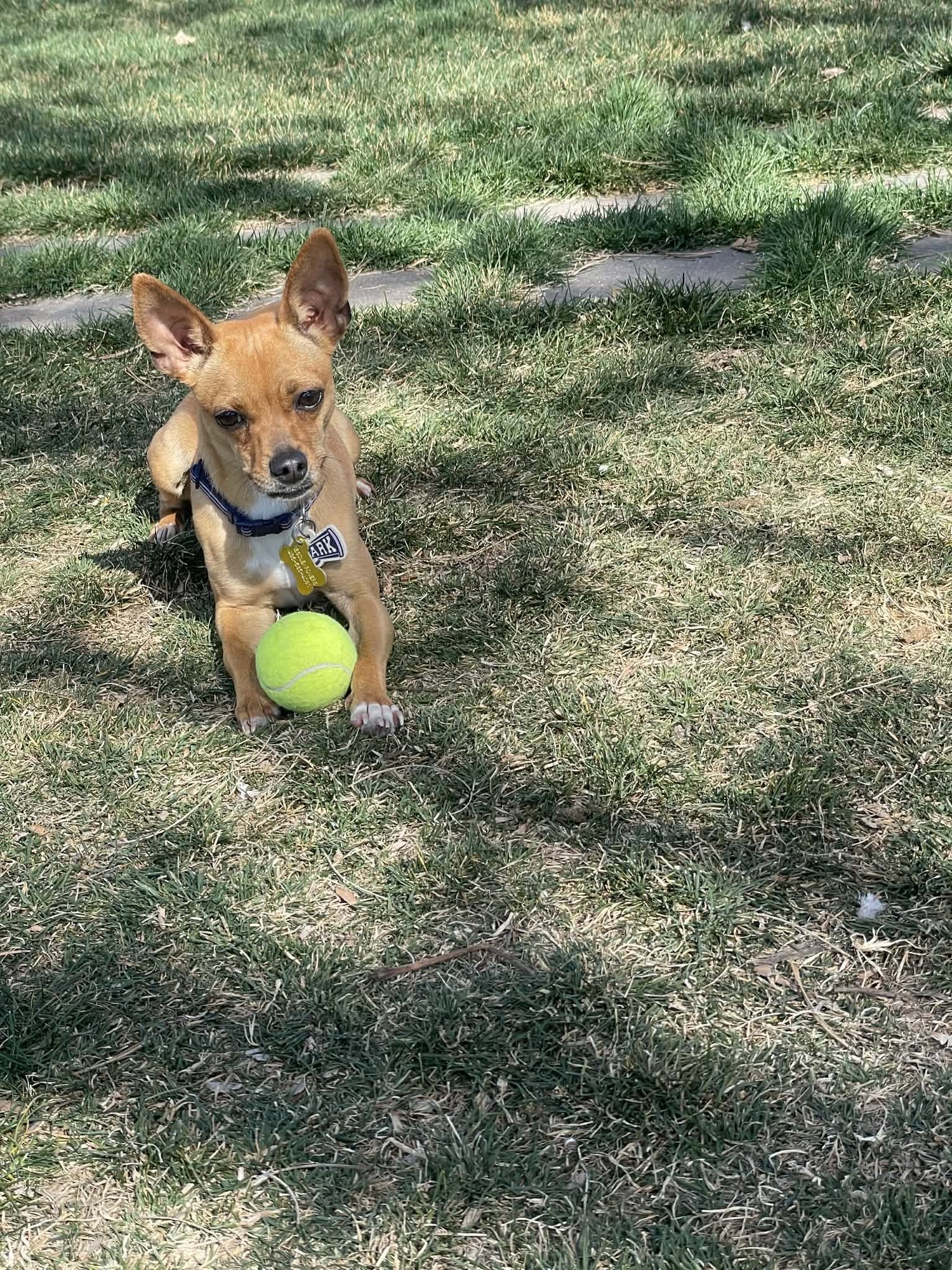 Lil Juliet - Photo 6