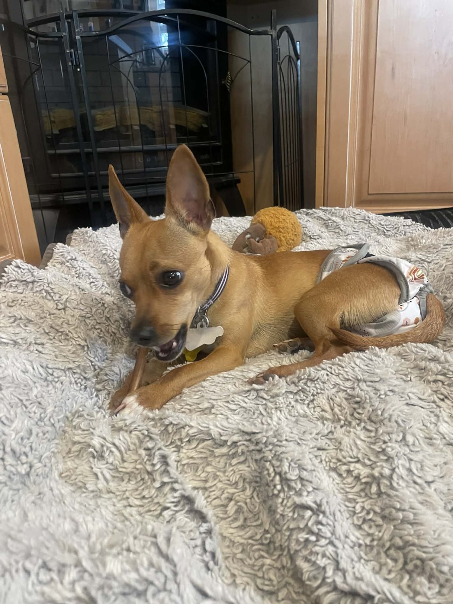 Lil Juliet - Photo 8