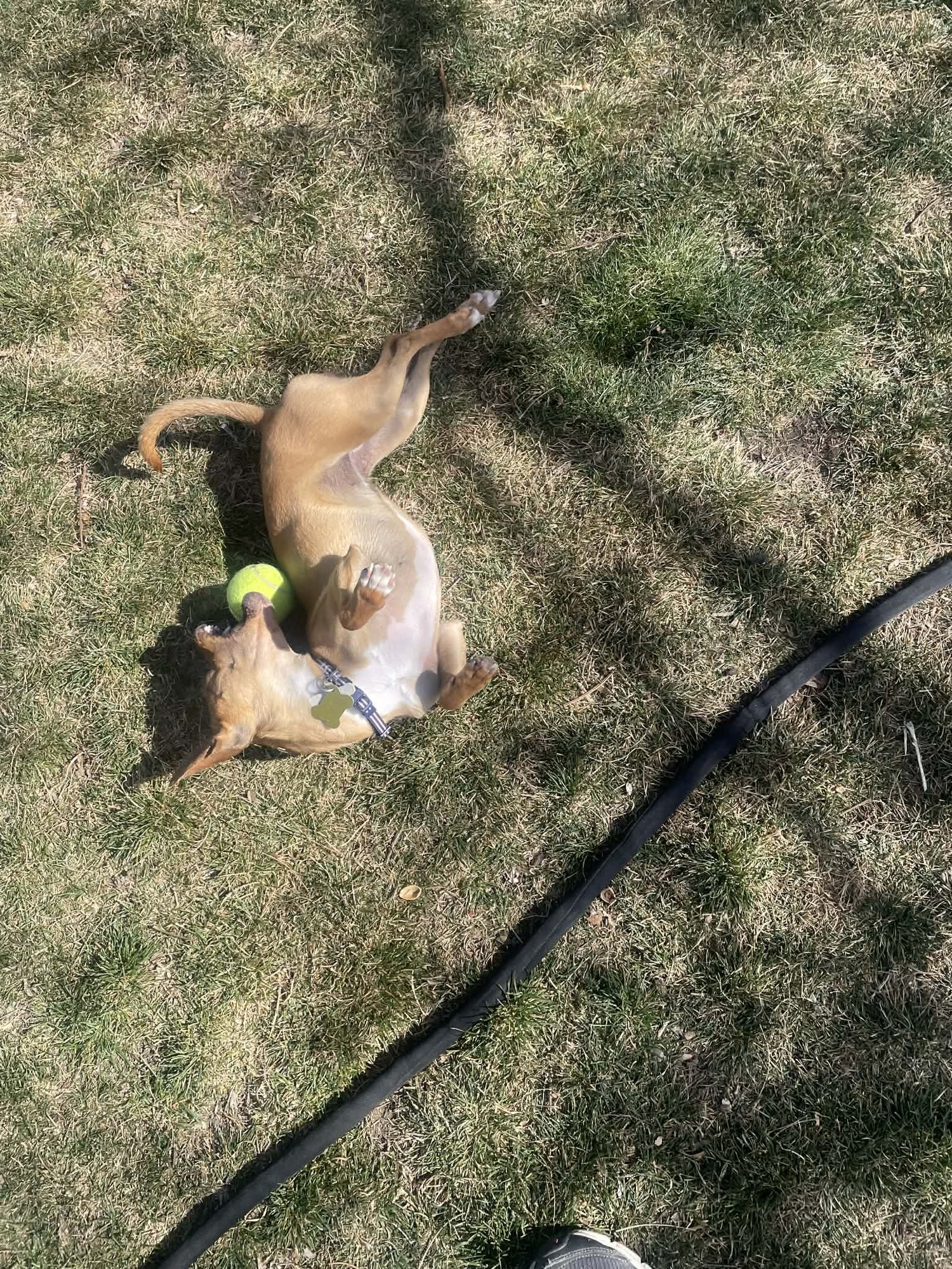 Lil Juliet - Photo 9