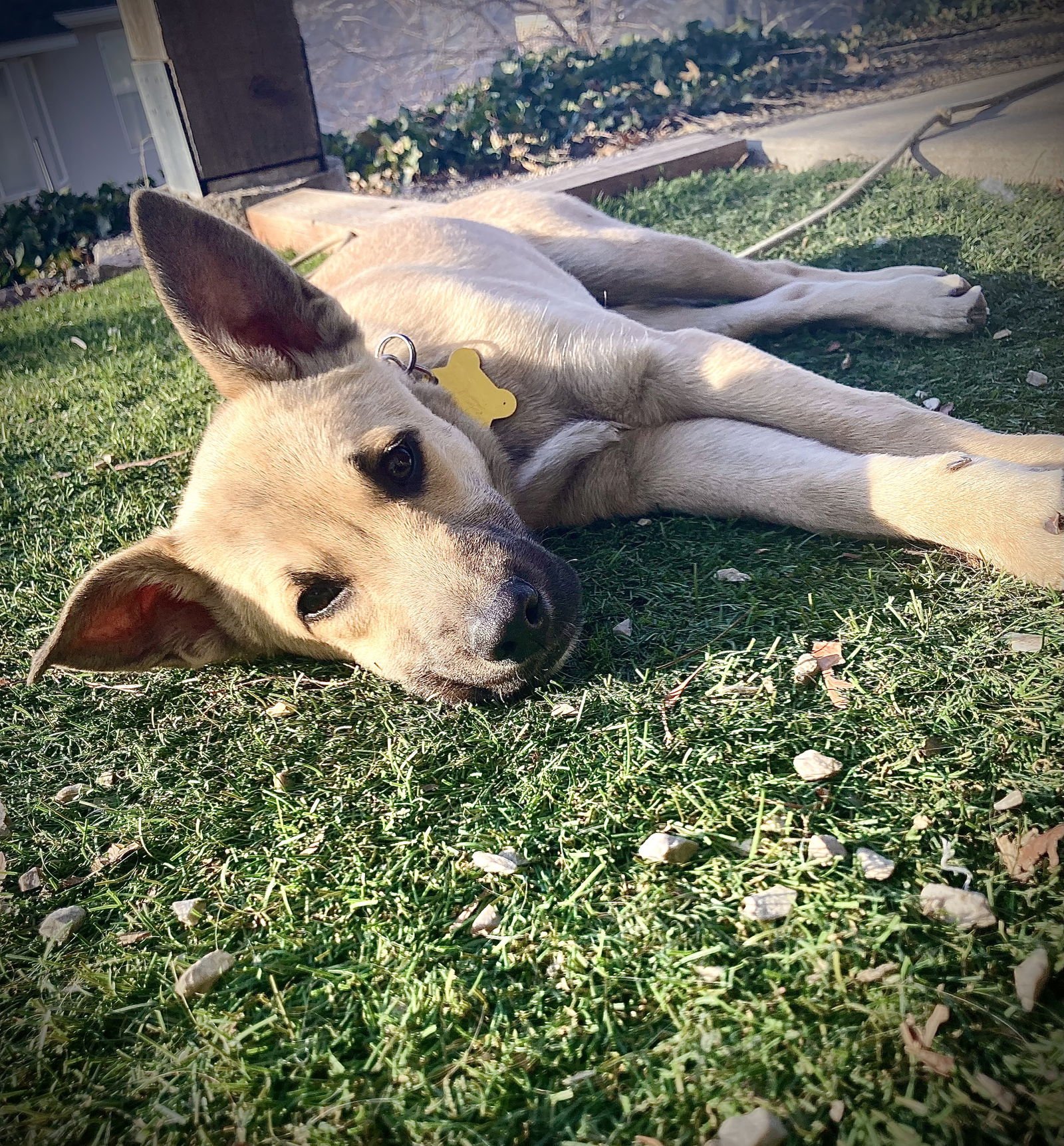 Ginny Weasley - Photo 4