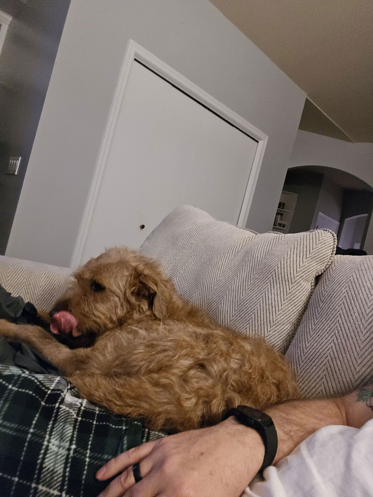 Millie Mildred - Photo 11