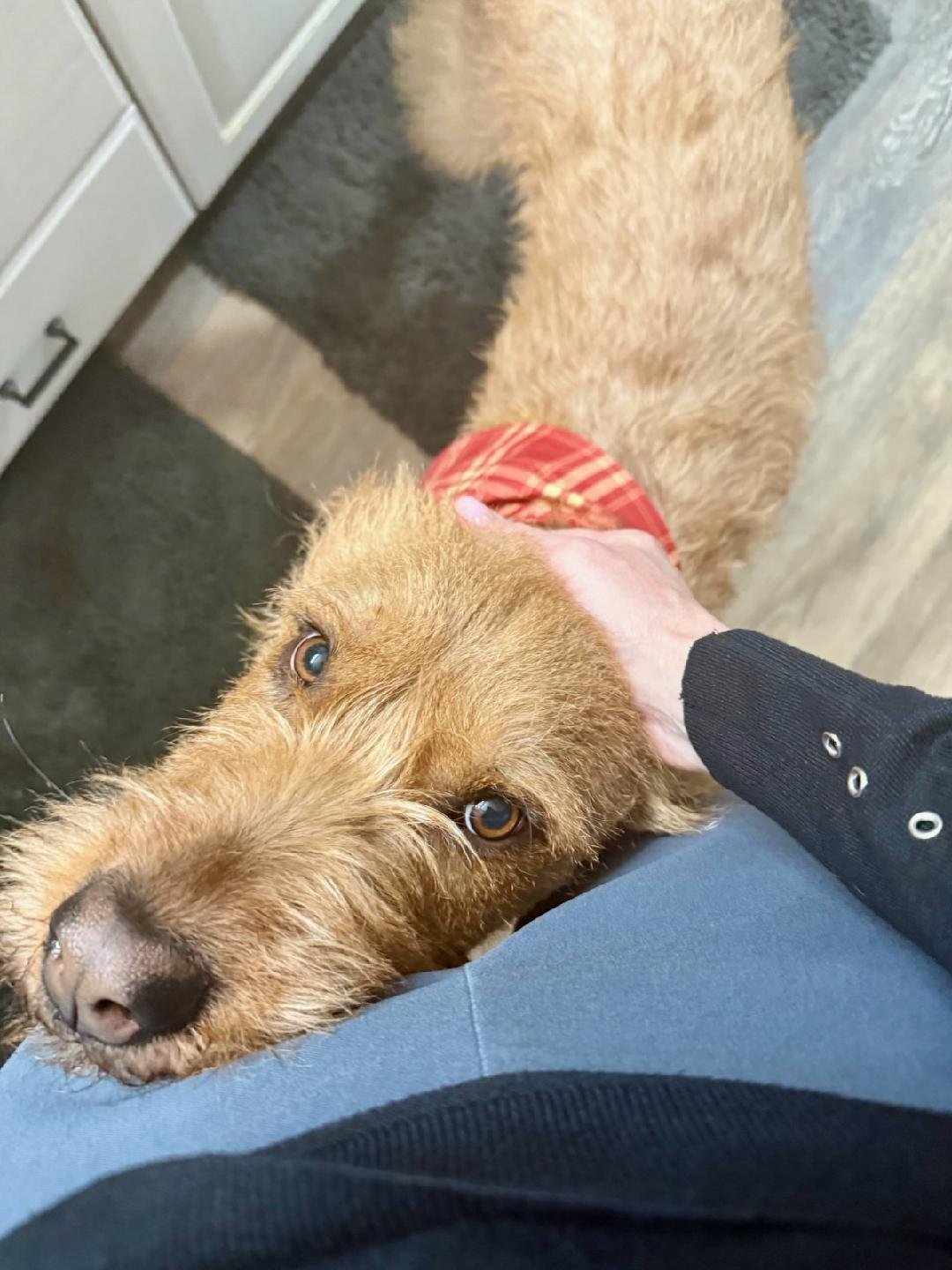 Millie Mildred - Photo 12