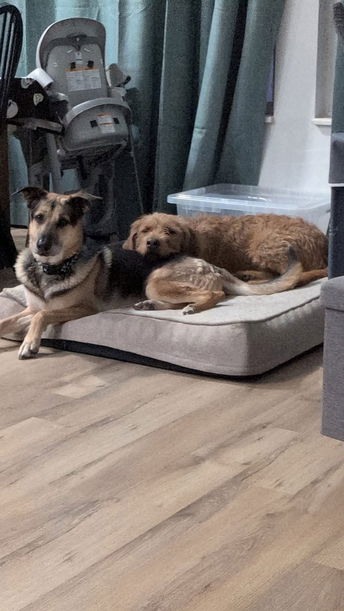 Millie Mildred - Photo 13