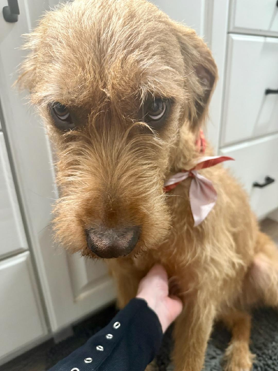 Millie Mildred - Photo 15