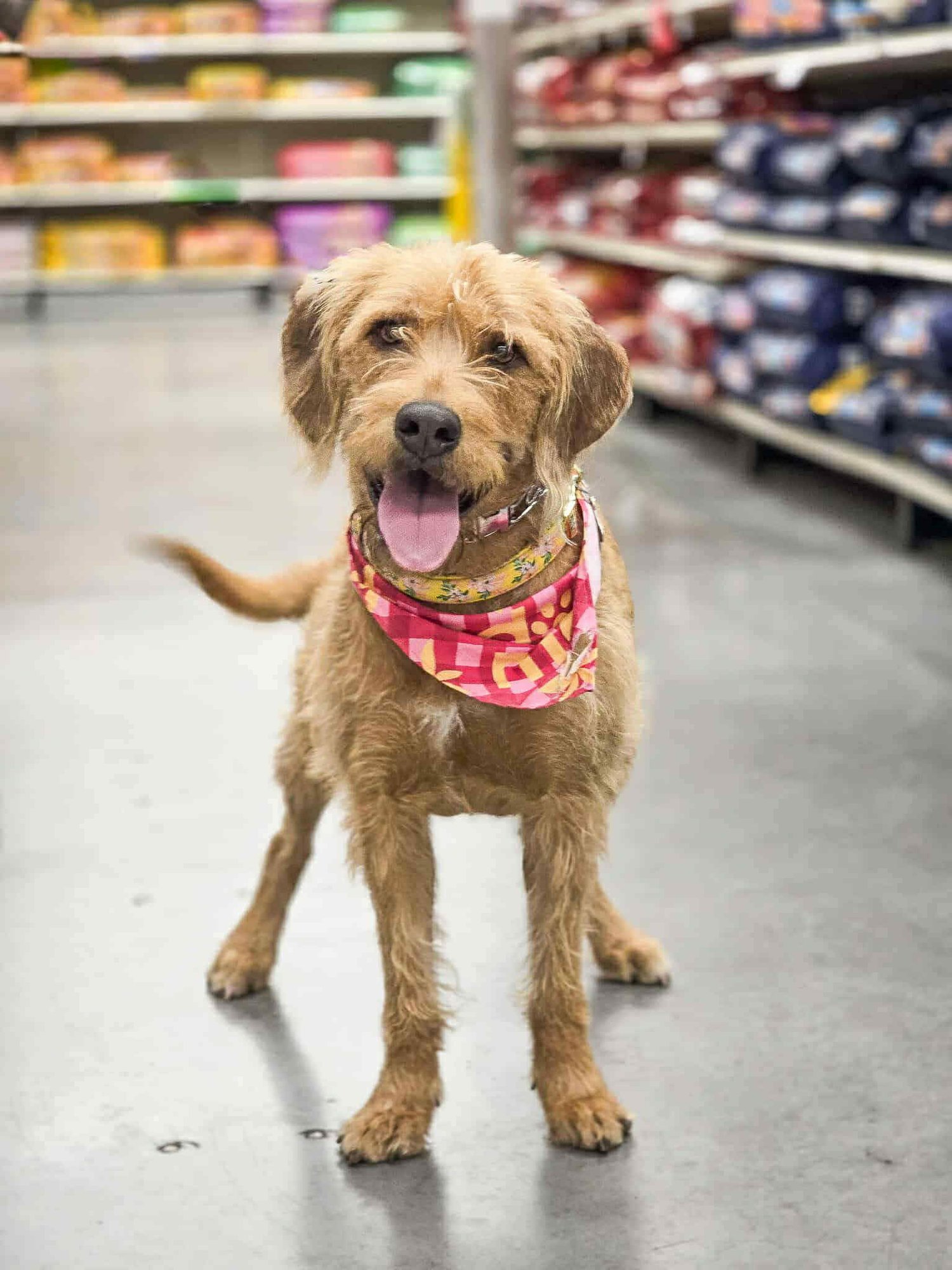 Millie Mildred - Photo 3