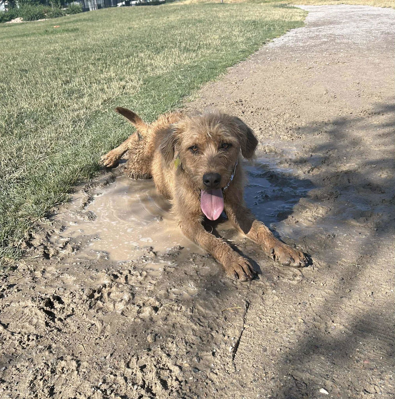 Millie Mildred - Photo 4