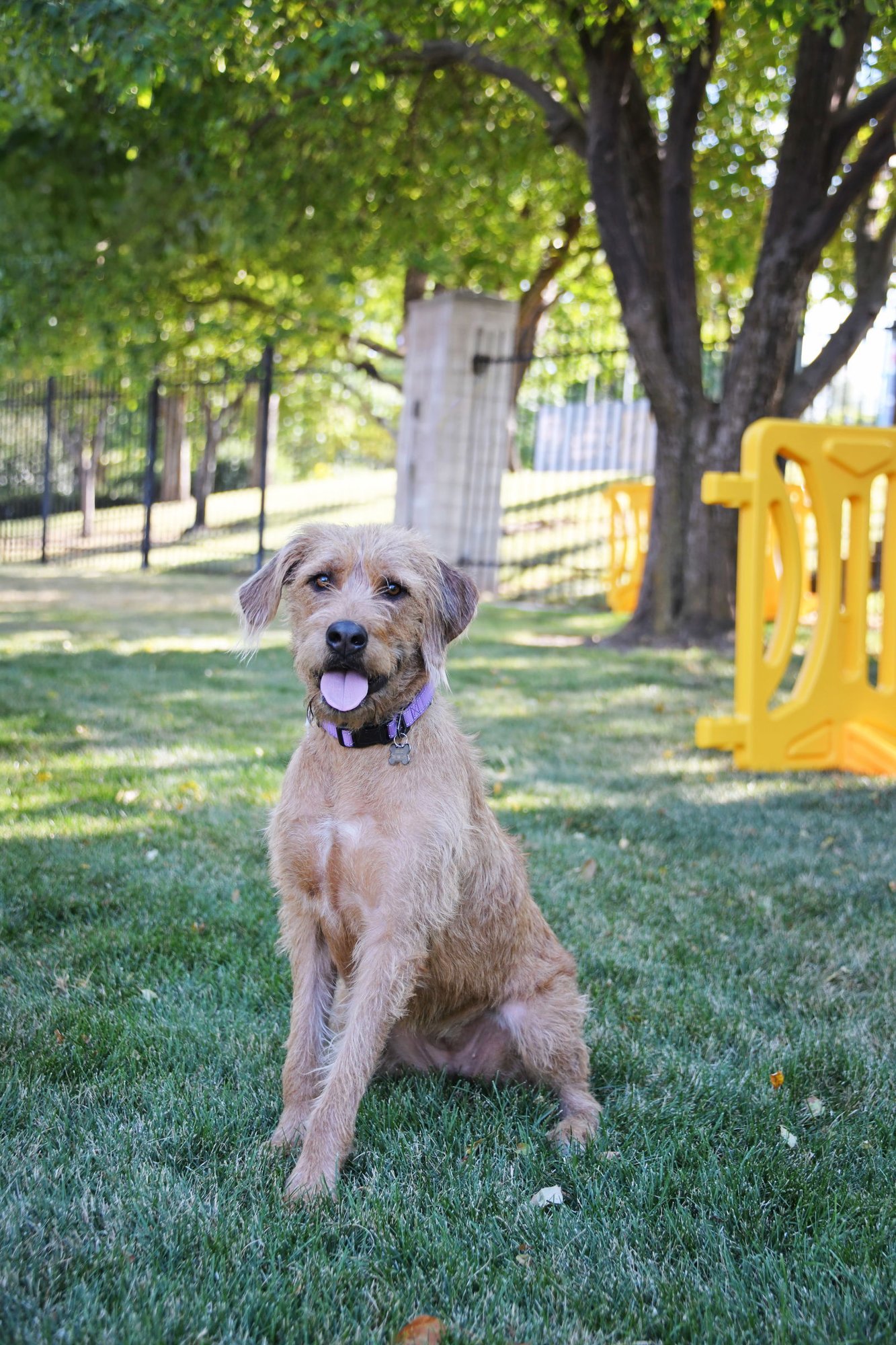 Millie Mildred - Photo 5