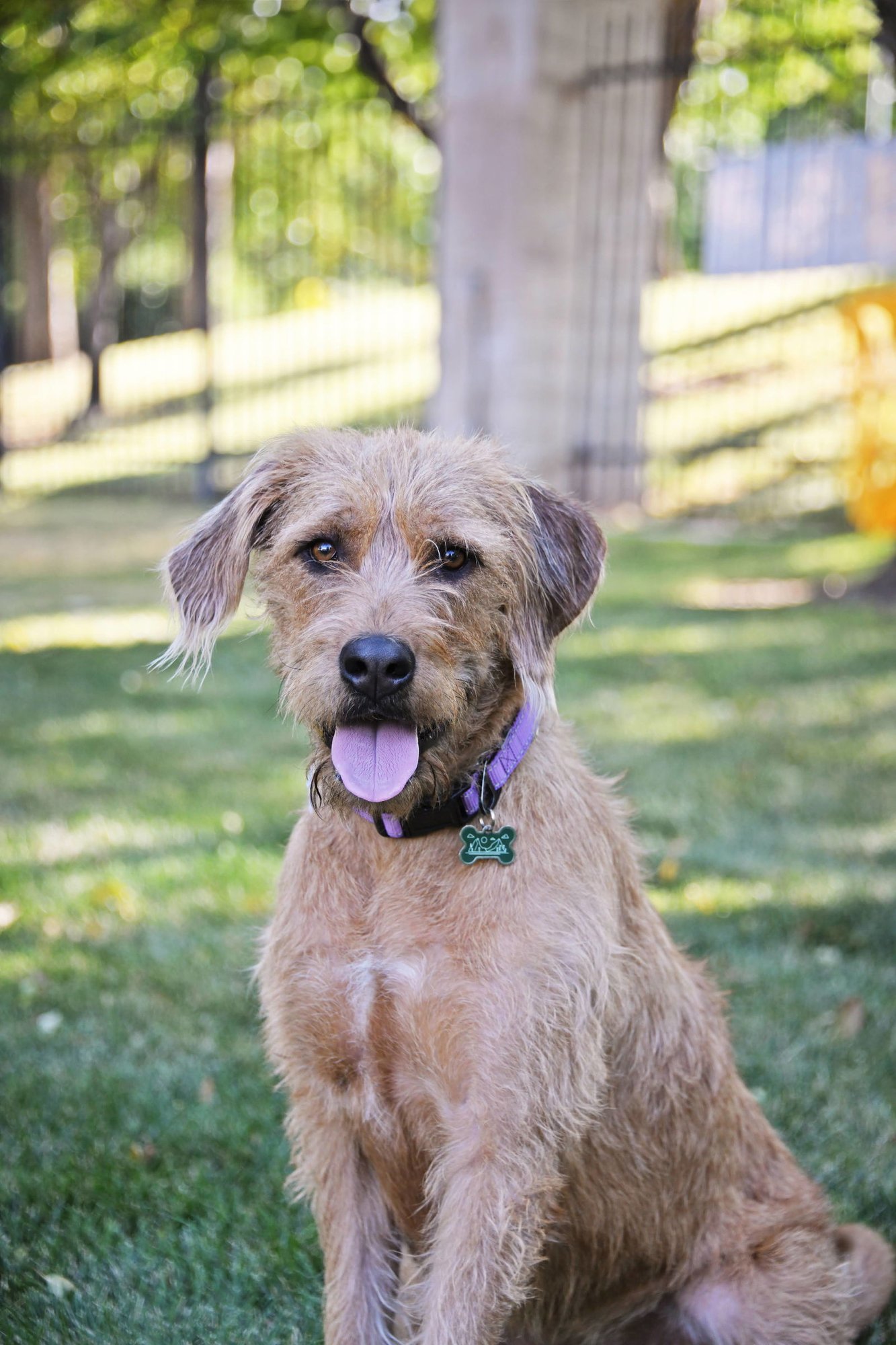 Millie Mildred - Photo 6