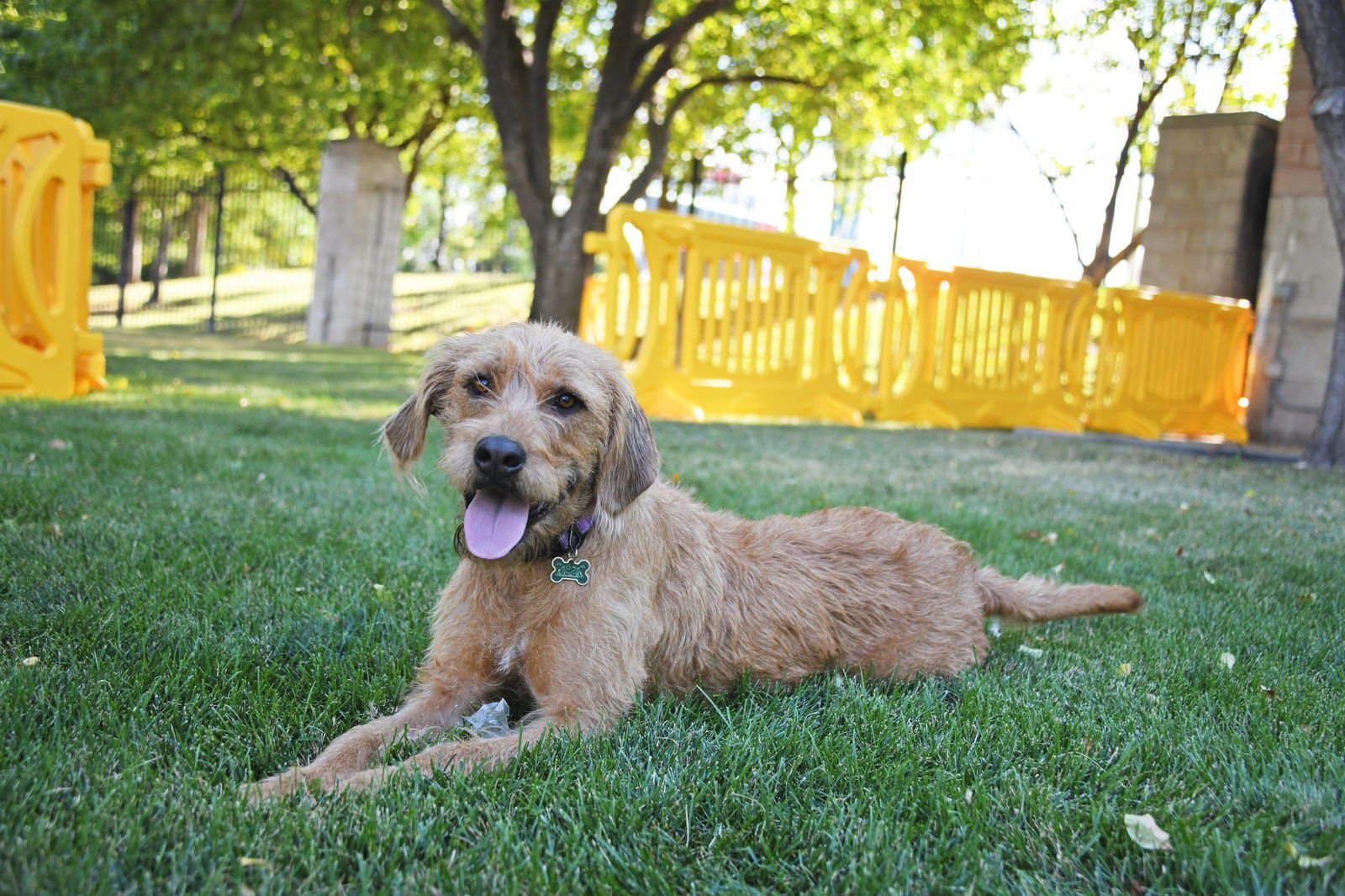 Millie Mildred - Photo 7