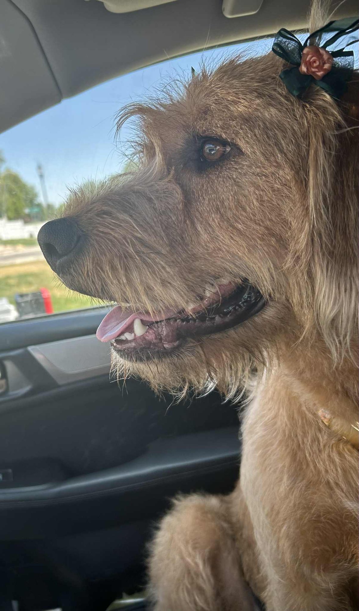 Millie Mildred - Photo 8