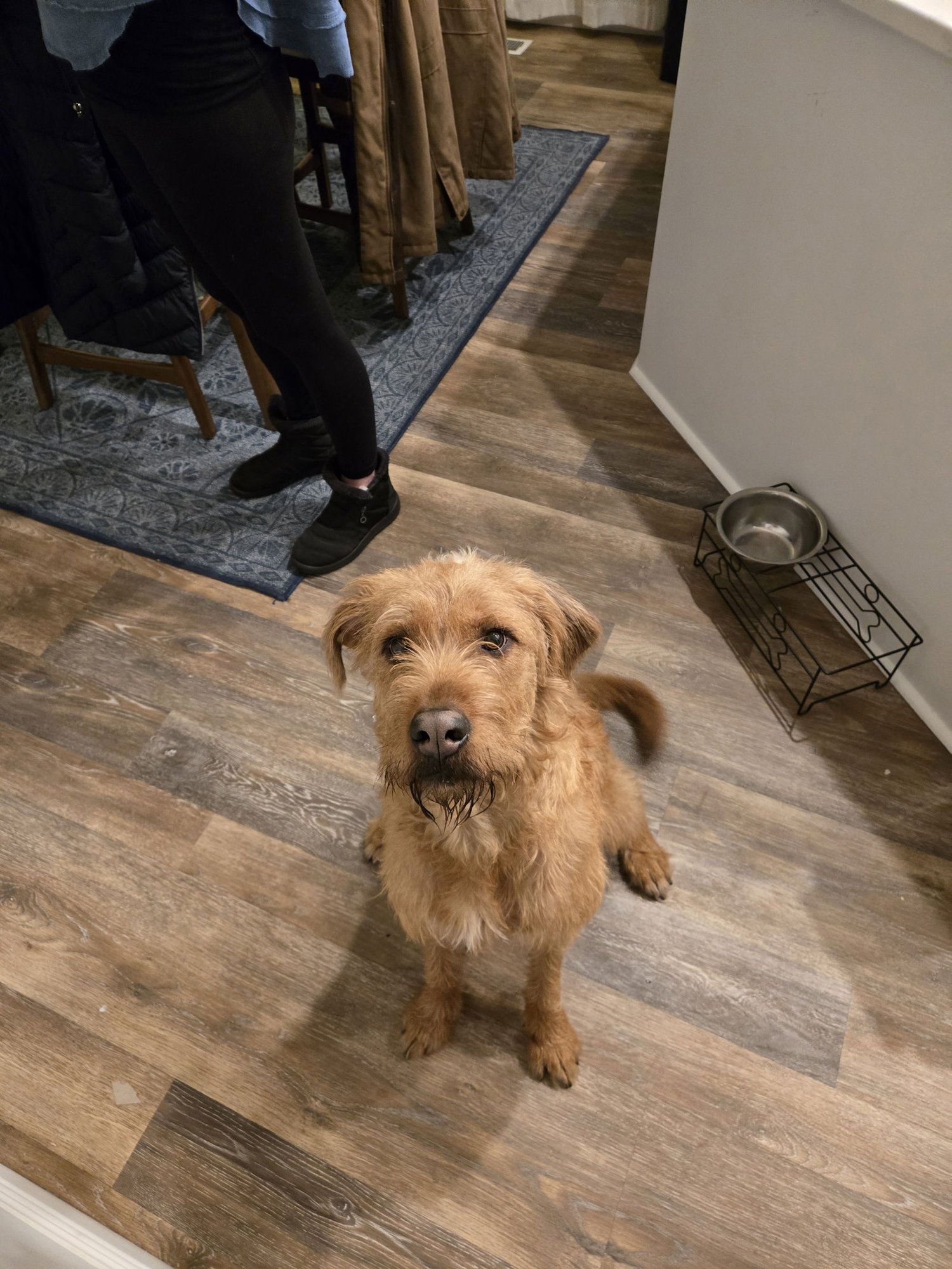 Millie Mildred - Photo 9