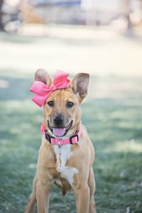 Alice Claire - Photo 13