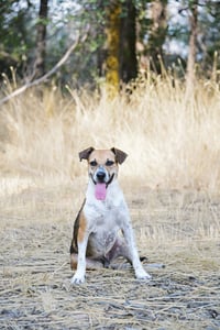 Samie - Photo 5