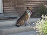 Samie - Photo 8
