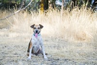 Samie - Photo 6