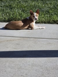Toastee - Photo 4
