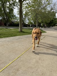 Stella Artemis - Photo 3