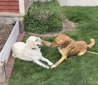 Stella Artemis - Photo 5