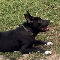 Tuxx - Photo 10